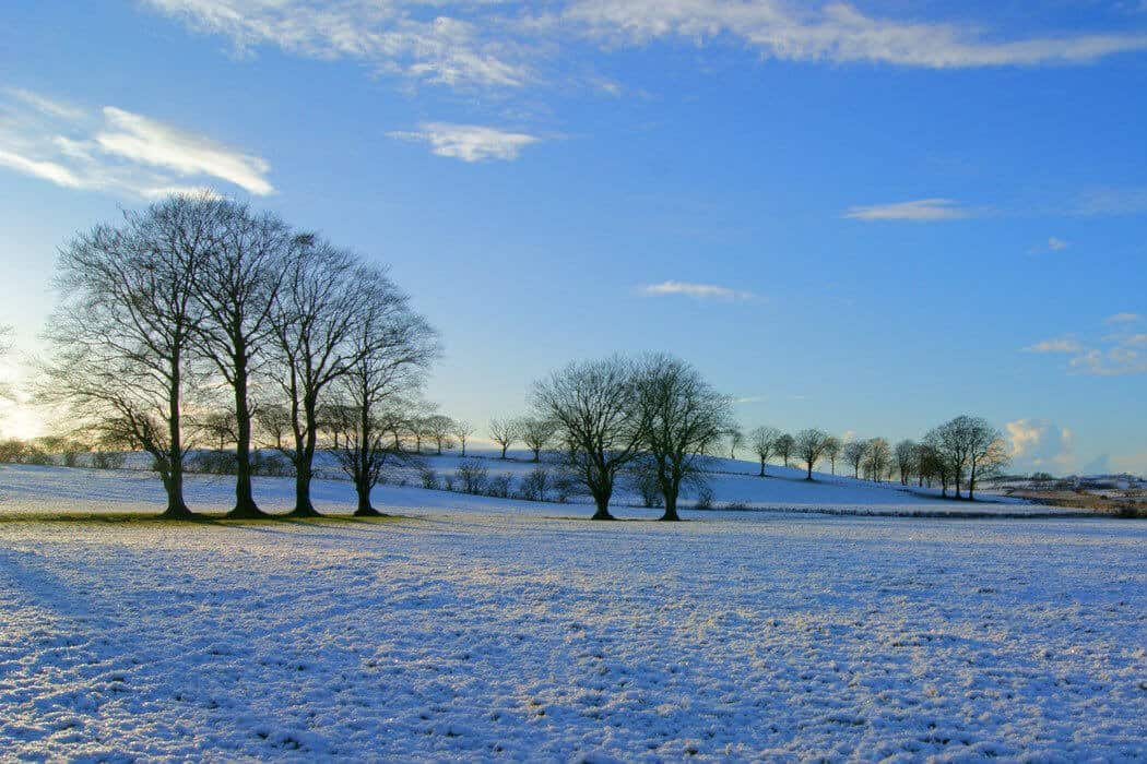 home energy scotland loan guide